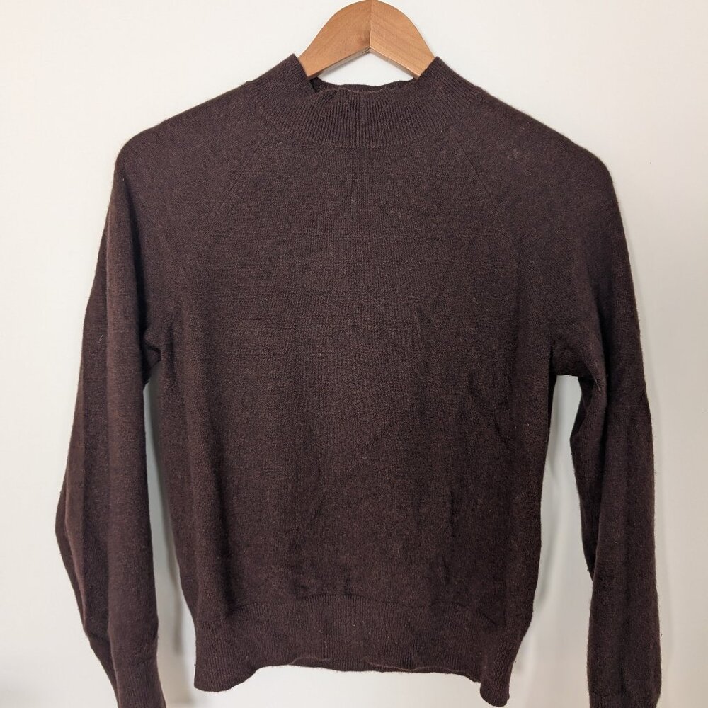 Everlane 100% Cashmere mock neck sweater